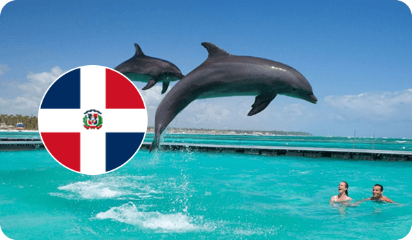 Доминикана дельфины