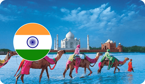 Индия верблюды